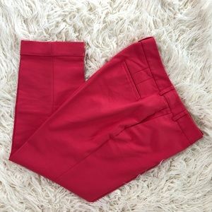 Magenta/Pink Express Editor Slacks